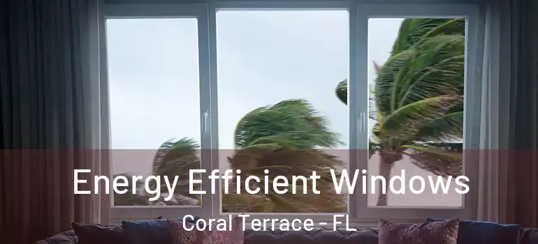  Energy Efficient Windows Coral Terrace - FL