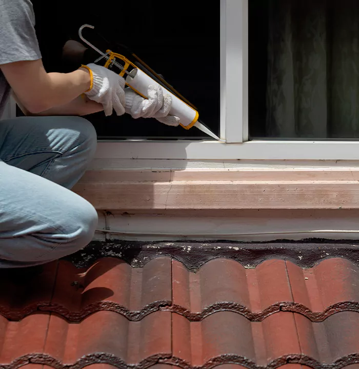 Roof Window Services in Coral Terrace, Florida