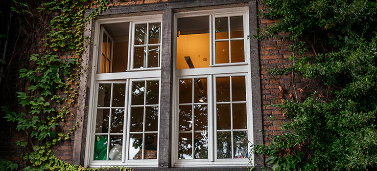Energy Efficient Wood Windows in Coral Terrace, FL