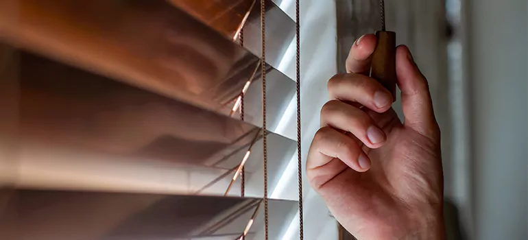 Double Roller Blinds in Coral Terrace, FL