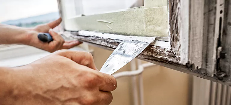 Exterior Window Frame Repair in Coral Terrace, FL