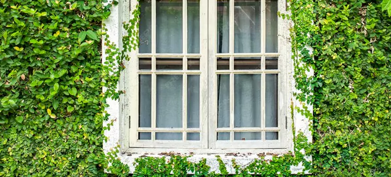 Garden Window Repair Near Me in Coral Terrace, FL