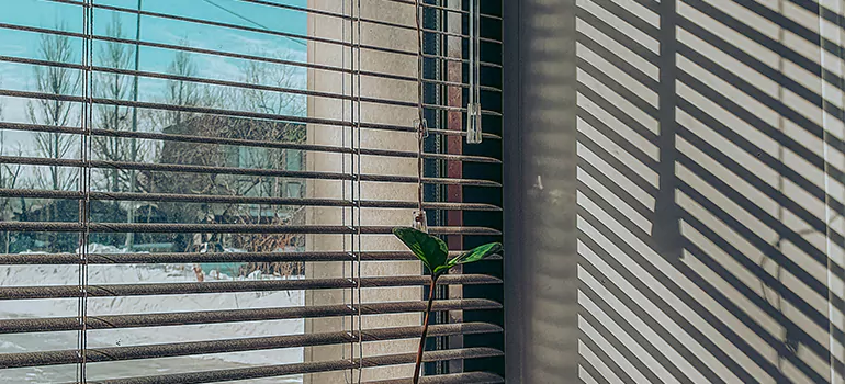 Commercial Window Blinds in Coral Terrace, FL