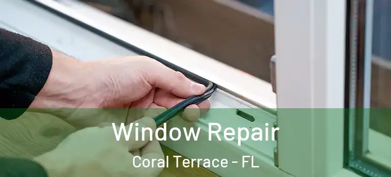  Window Repair Coral Terrace - FL